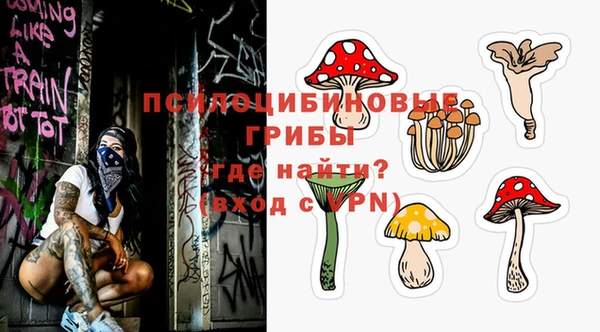 ECSTASY Алексеевка